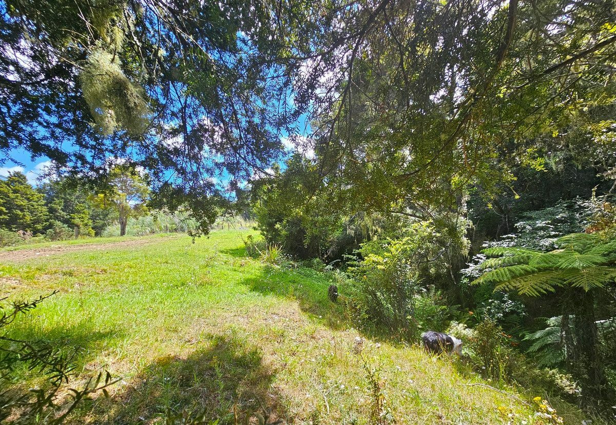 Picturesque 1.23ha Lifestyle Block – Stunning Rural & Mountain Views