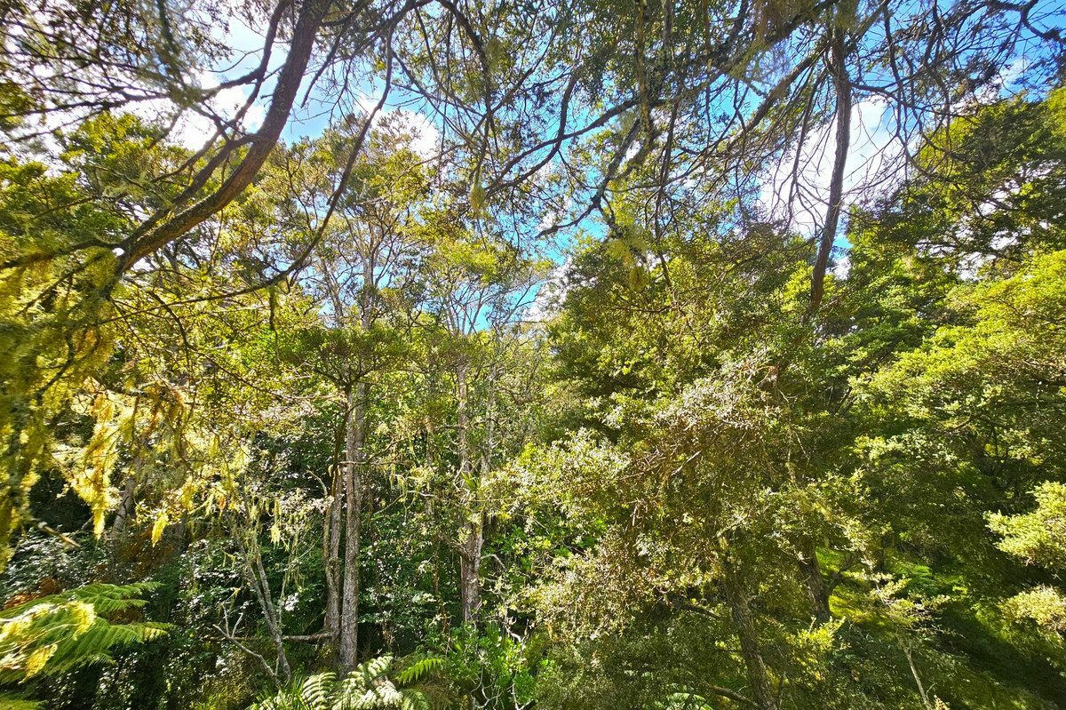 Picturesque 1.23ha Lifestyle Block – Stunning Rural & Mountain Views