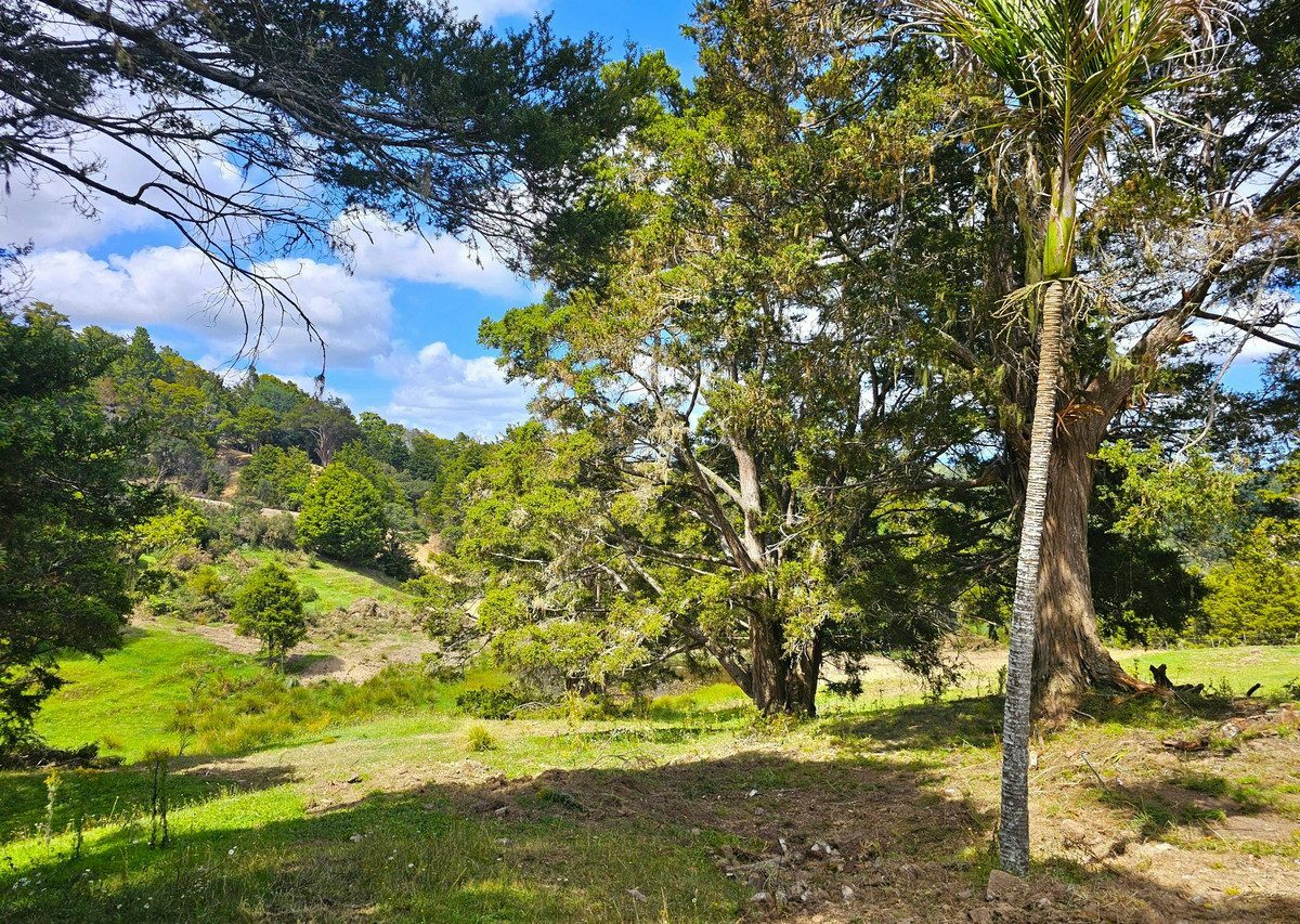 Picturesque 1.23ha Lifestyle Block – Stunning Rural & Mountain Views