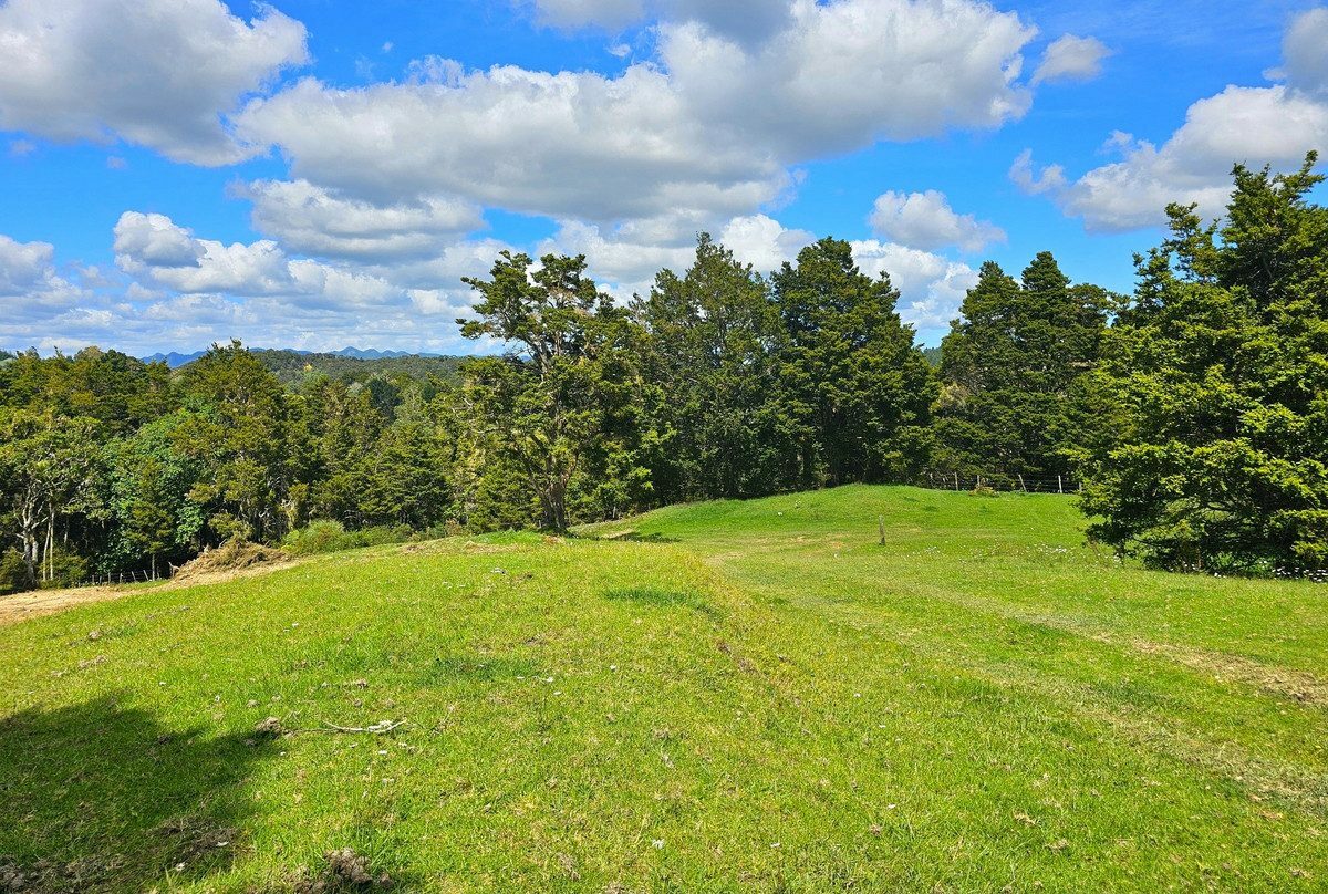 Picturesque 1.23ha Lifestyle Block – Stunning Rural & Mountain Views