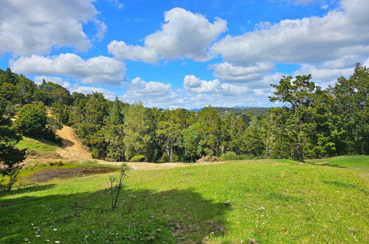 Picturesque 1.23ha Lifestyle Block – Stunning Rural & Mountain Views