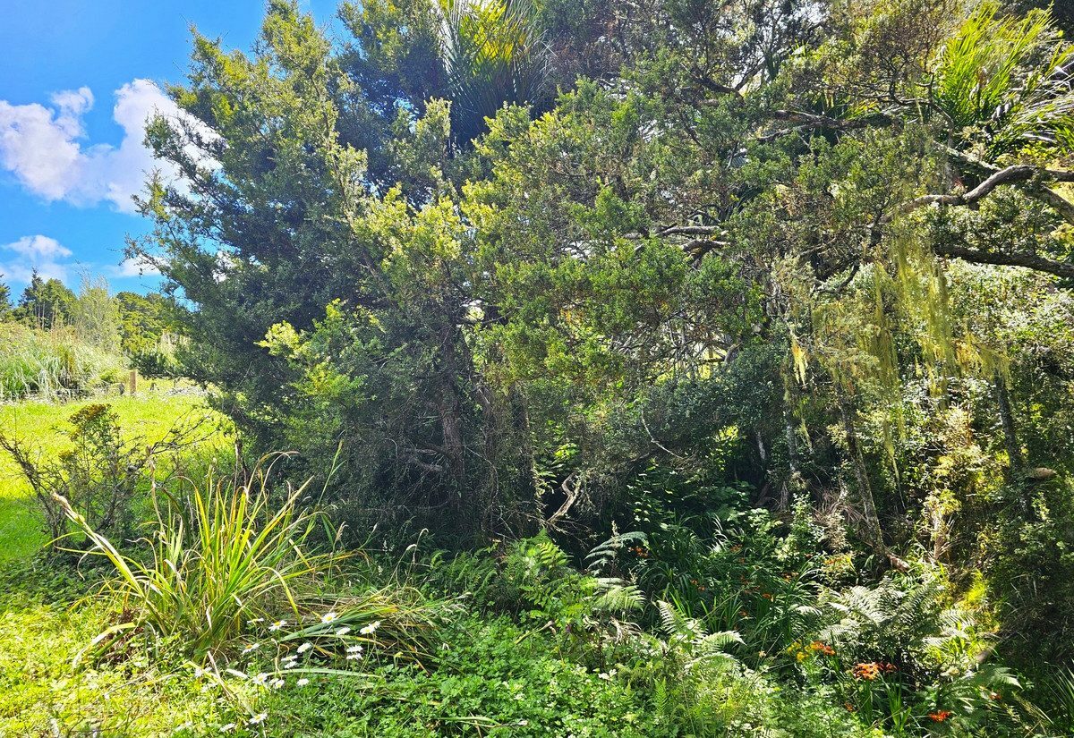 Picturesque 1.23ha Lifestyle Block – Stunning Rural & Mountain Views