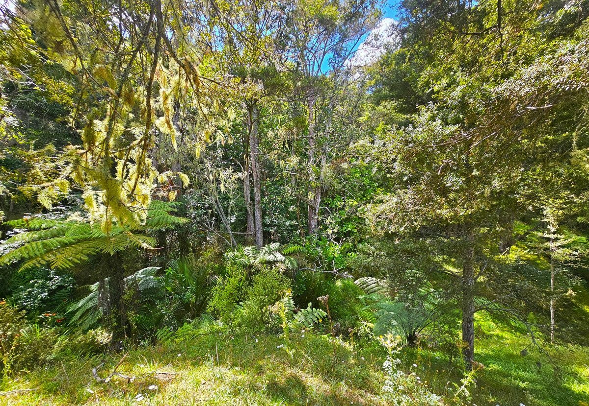 Picturesque 1.23ha Lifestyle Block – Stunning Rural & Mountain Views