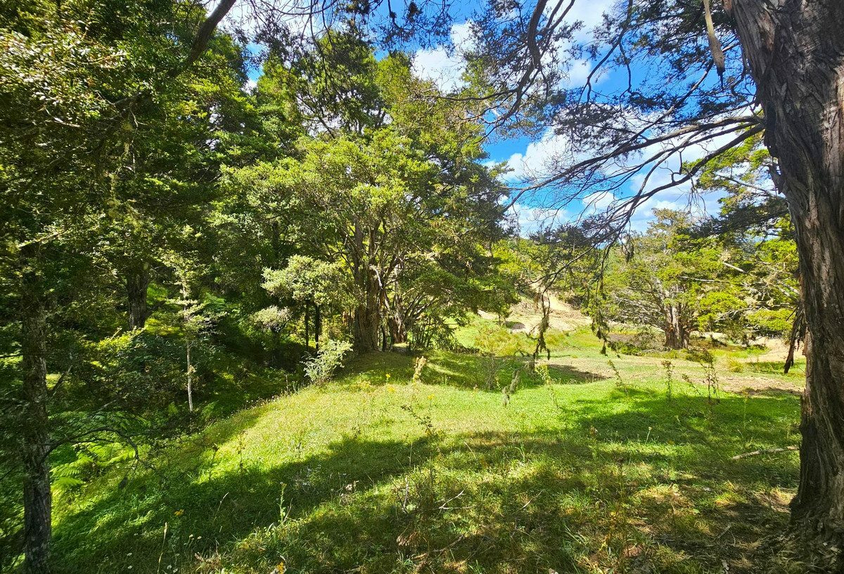 Picturesque 1.23ha Lifestyle Block – Stunning Rural & Mountain Views
