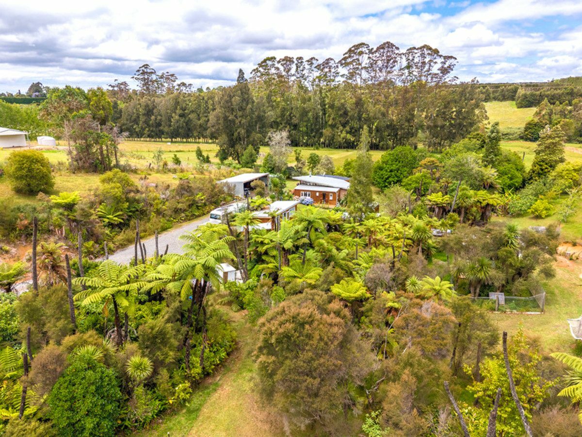 A Hidden Sanctuary on Kerikeri’s Doorstep