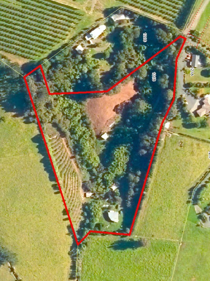 A Hidden Sanctuary on Kerikeri’s Doorstep