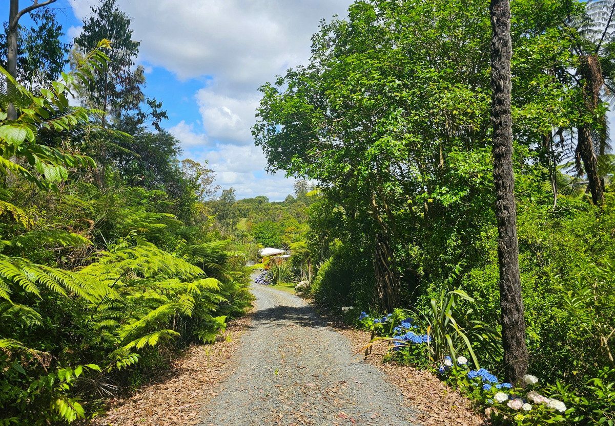 A Hidden Sanctuary on Kerikeri’s Doorstep