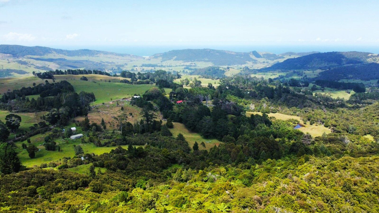 Coastal Lifestyle with Pristine Bush