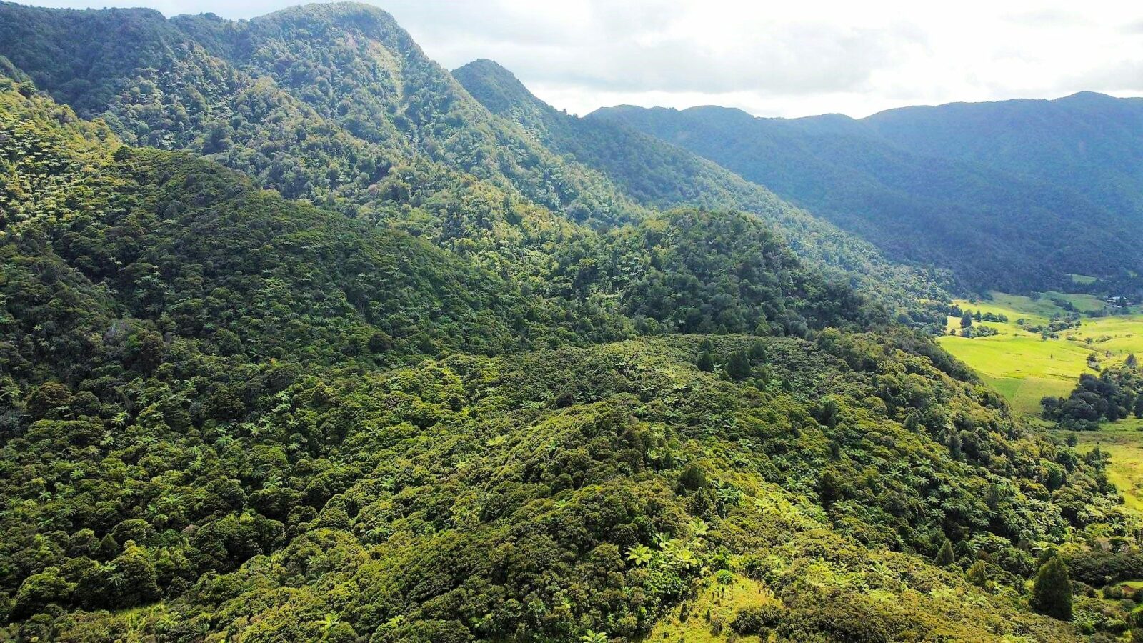 Coastal Lifestyle with Pristine Bush