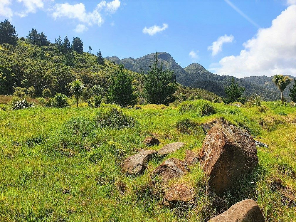 Coastal Lifestyle with Pristine Bush