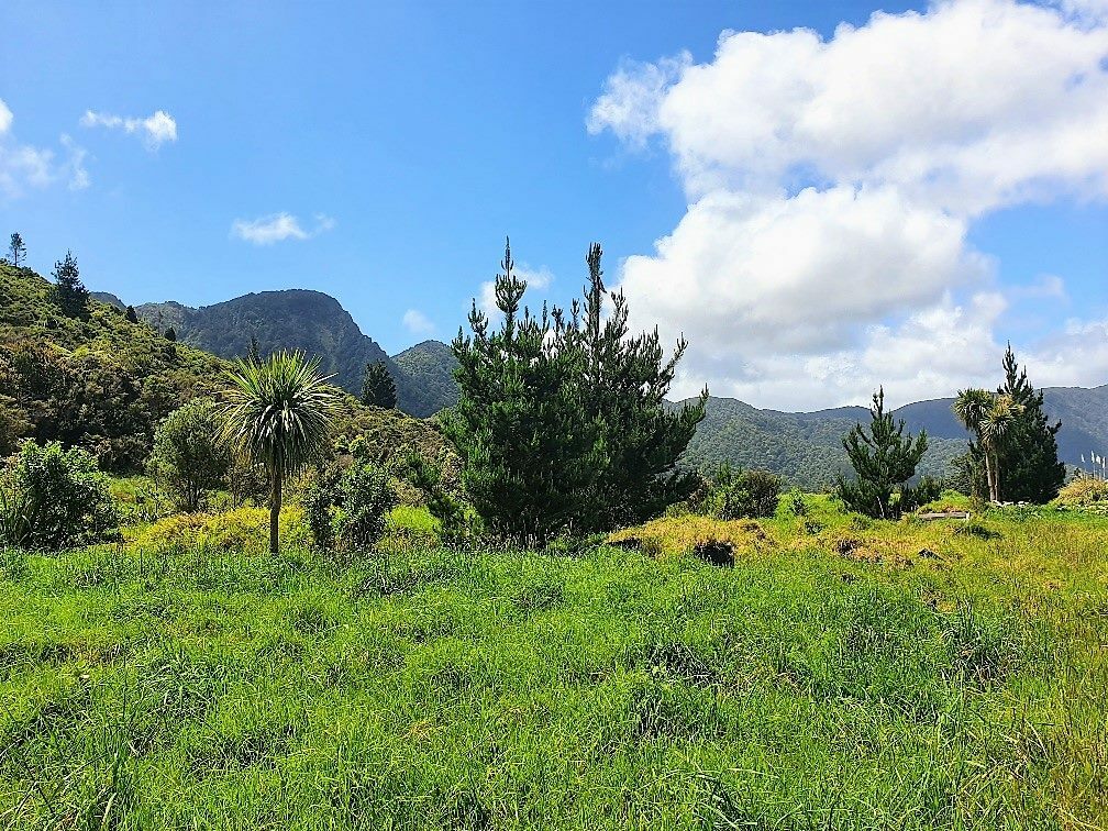 Coastal Lifestyle with Pristine Bush