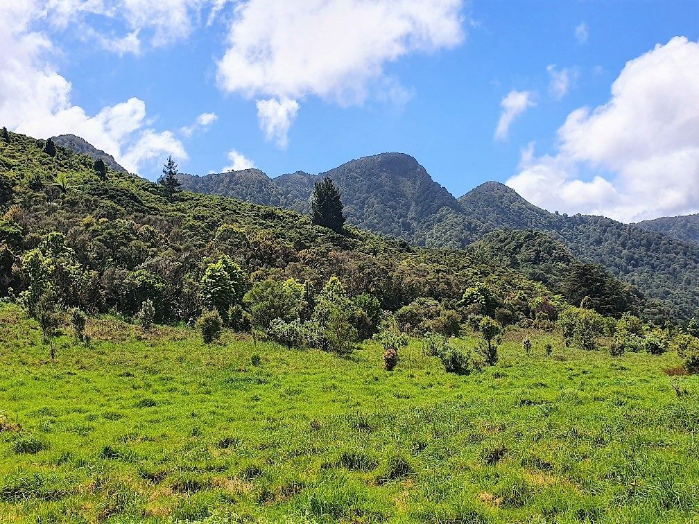 Coastal Lifestyle with Pristine Bush