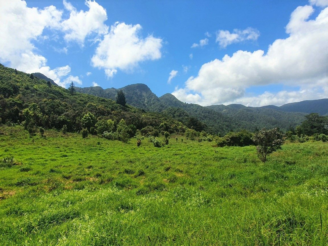 Coastal Lifestyle with Pristine Bush