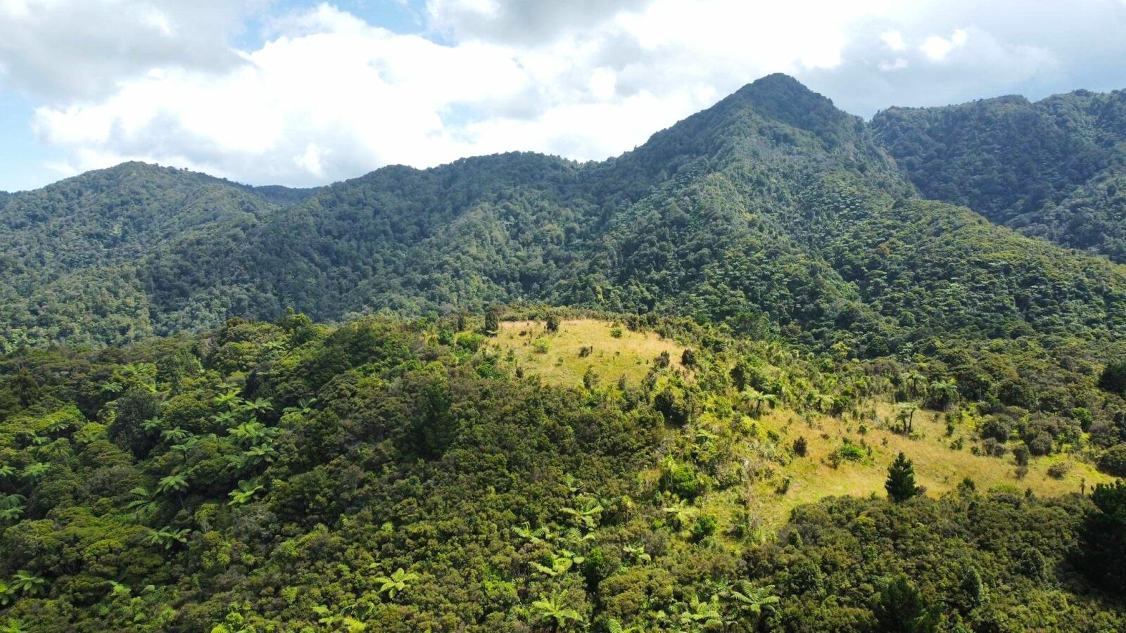 Coastal Lifestyle with Pristine Bush