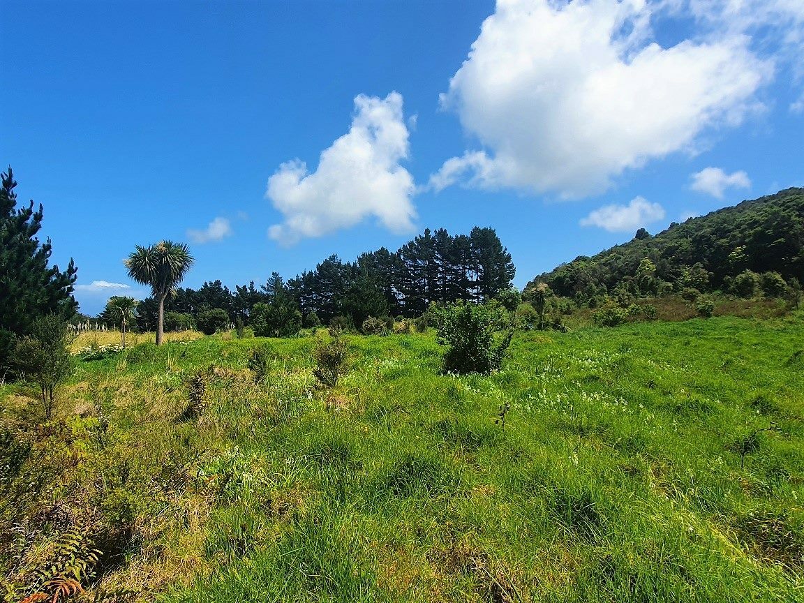 Coastal Lifestyle with Pristine Bush