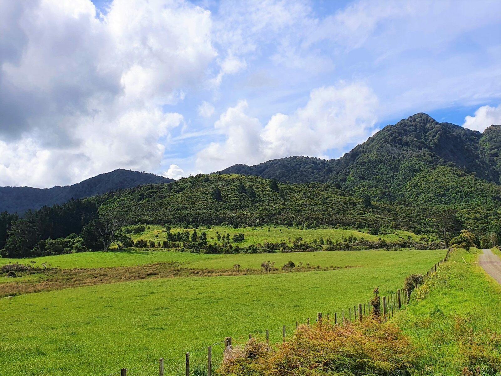 Coastal Lifestyle with Pristine Bush