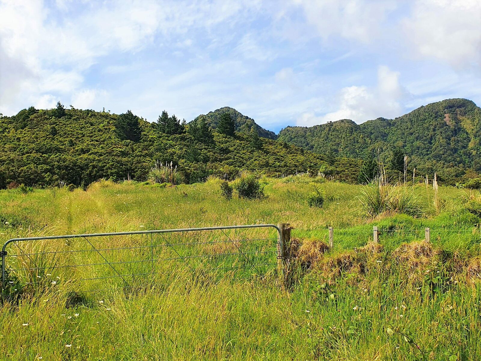 Coastal Lifestyle with Pristine Bush