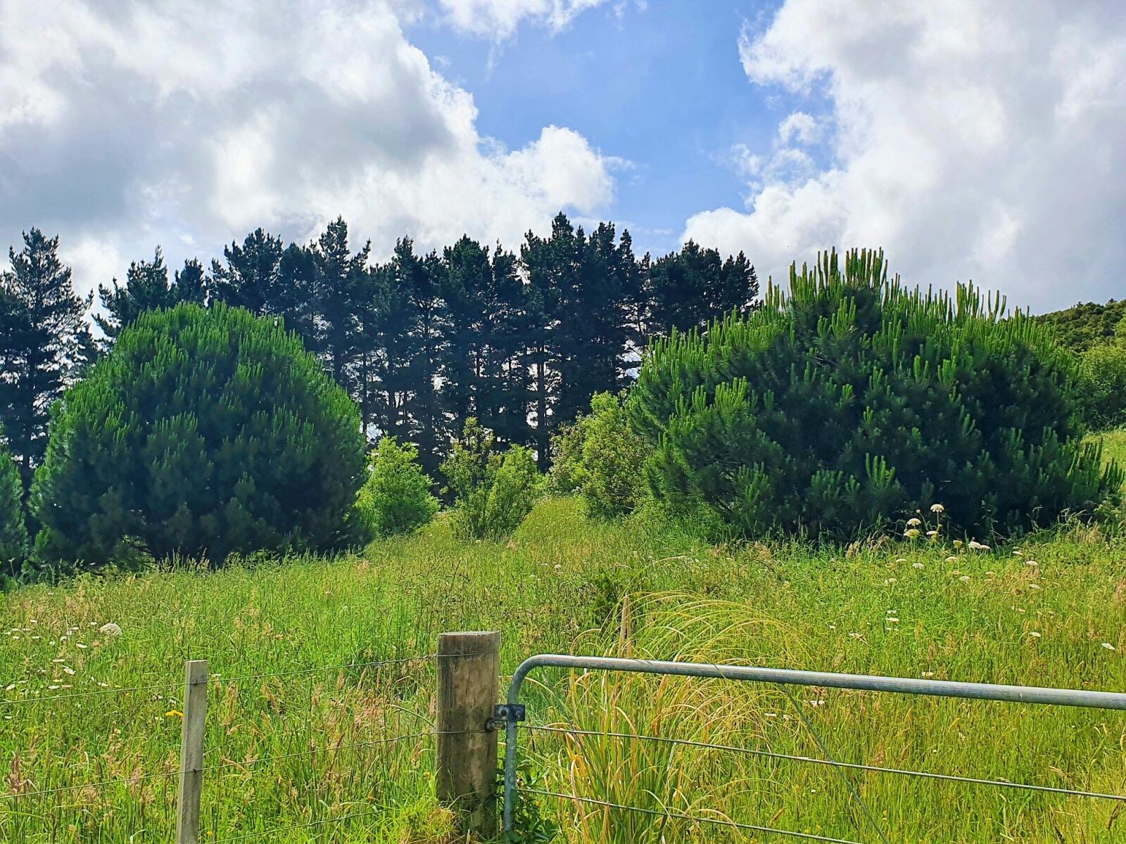 Coastal Lifestyle with Pristine Bush