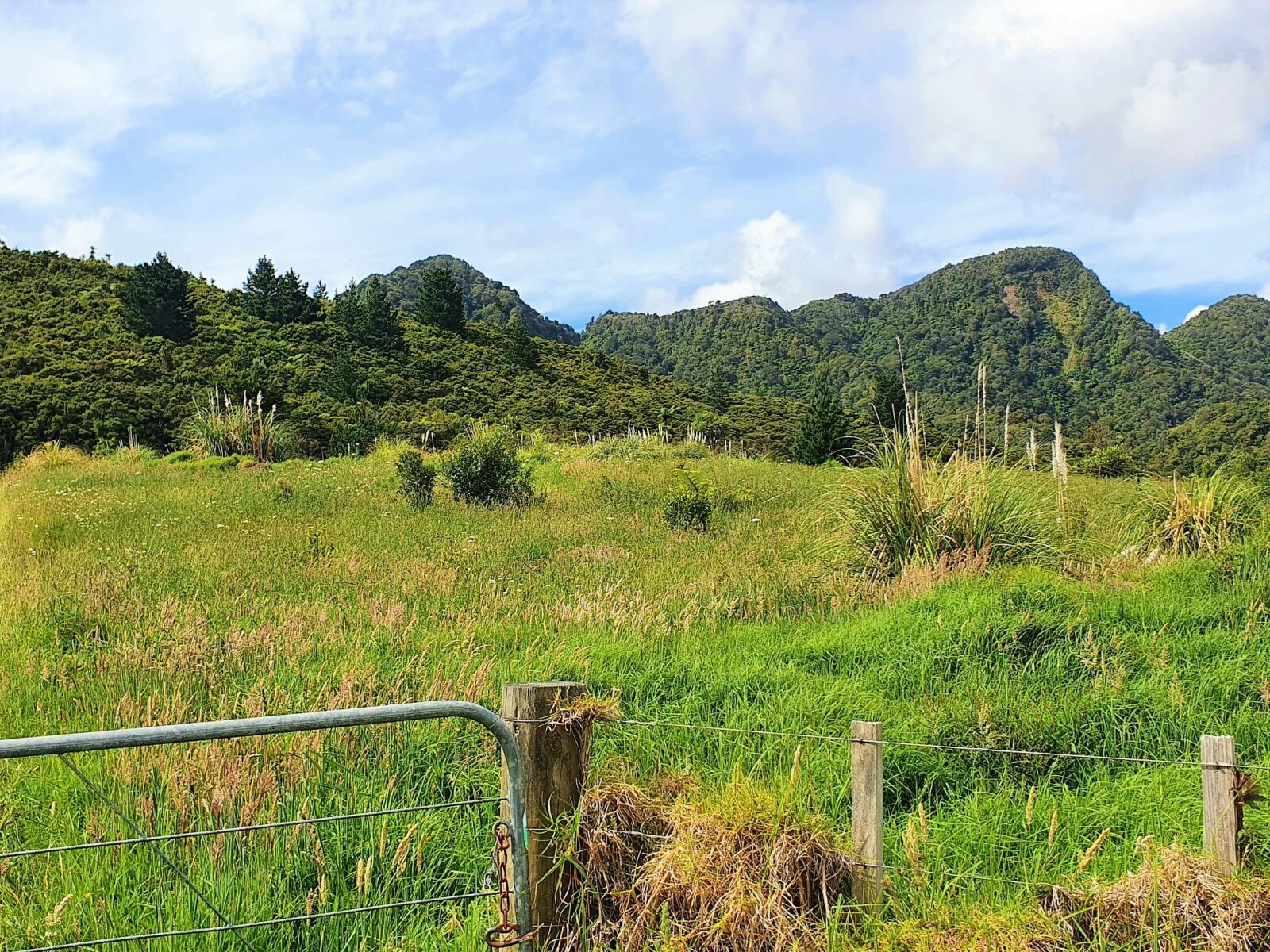 Coastal Lifestyle with Pristine Bush