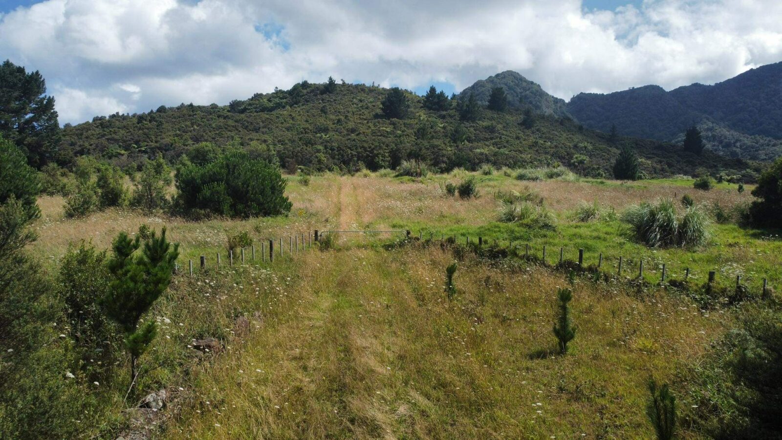 Coastal Lifestyle with Pristine Bush