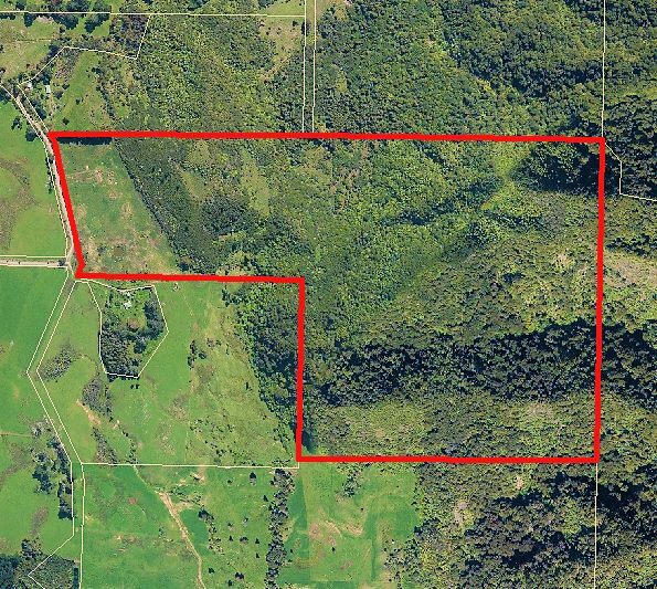 Coastal Lifestyle with Pristine Bush