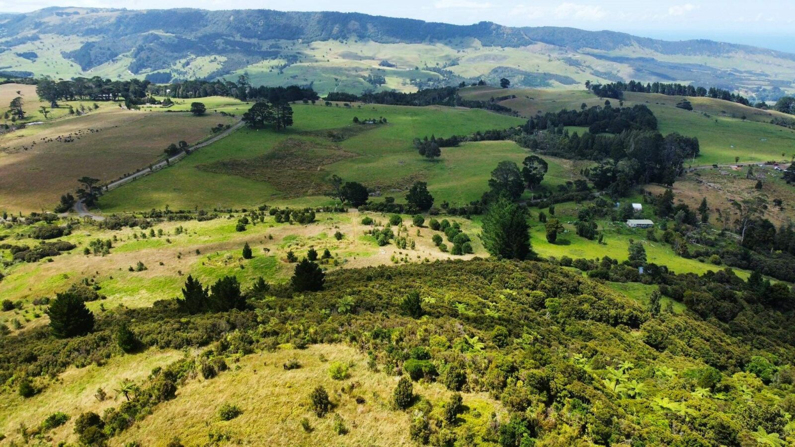 Coastal Lifestyle with Pristine Bush