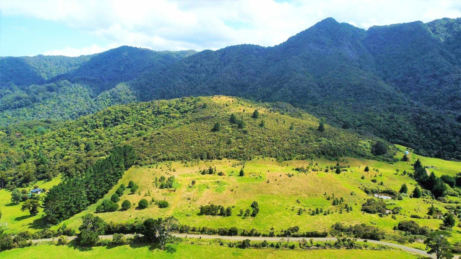 Coastal Lifestyle with Pristine Bush