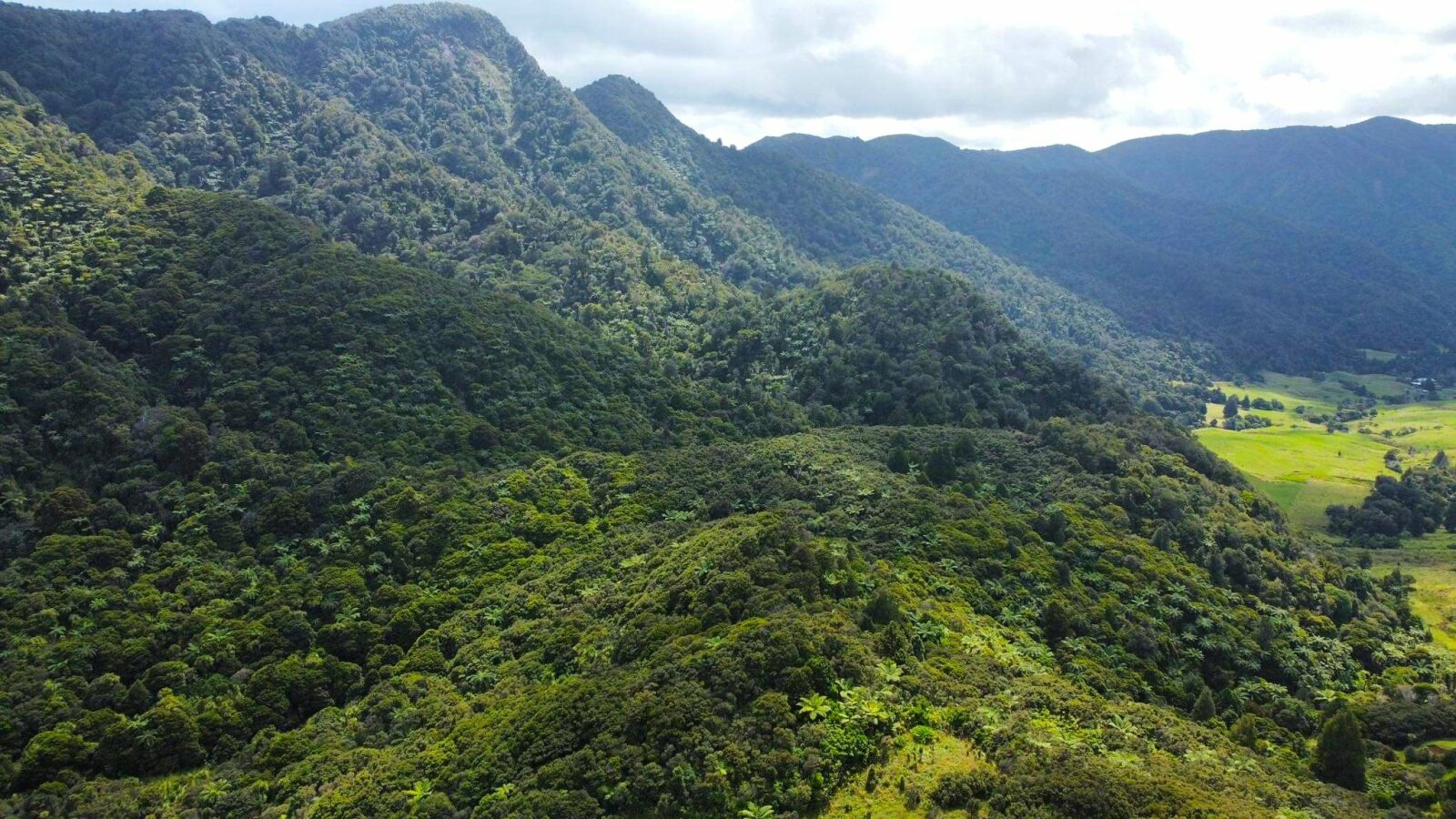 Coastal Lifestyle with Pristine Bush