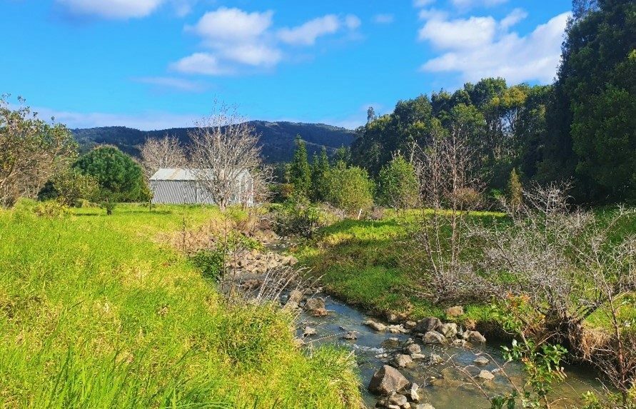 Waimamaku lifestyle with creek