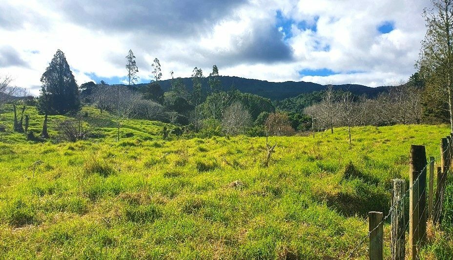 Waimamaku lifestyle with creek