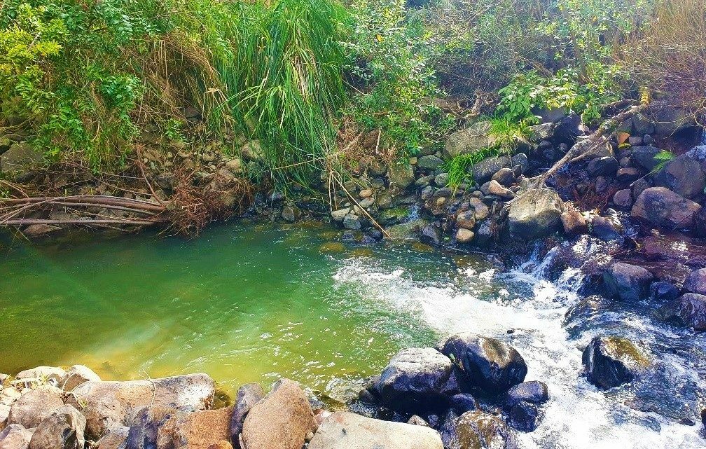 Waimamaku lifestyle with creek