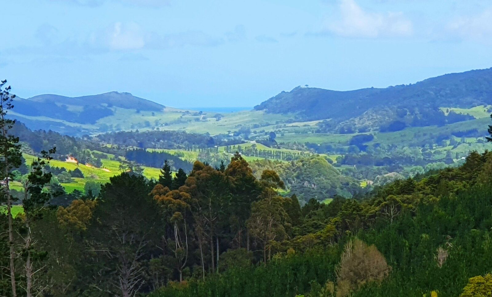 Waimamaku lifestyle with creek