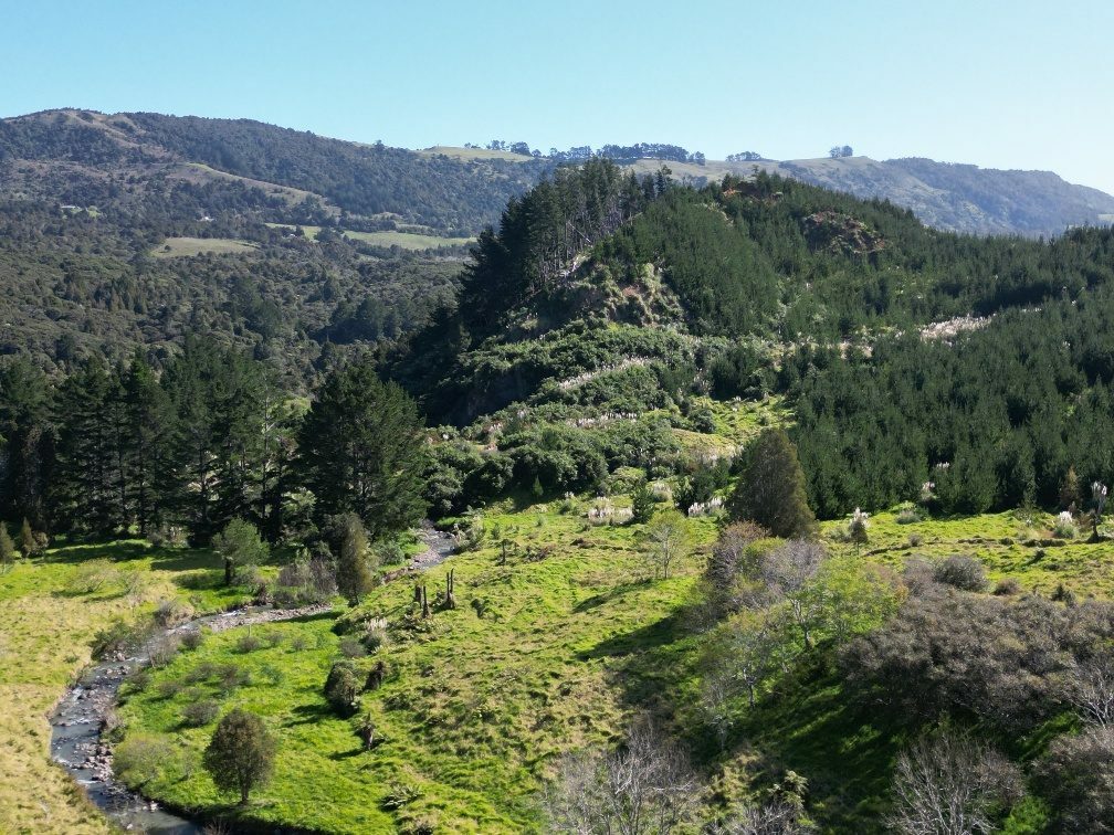 Waimamaku lifestyle with creek