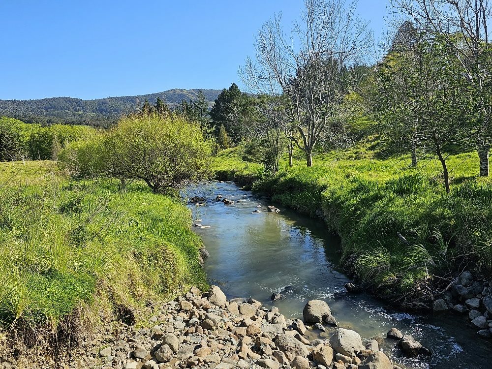 Waimamaku lifestyle with creek