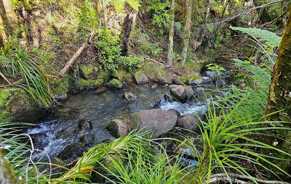 Waimamaku lifestyle with creek