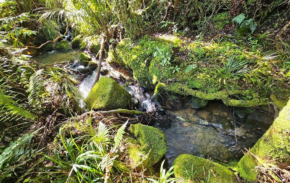 Waimamaku lifestyle with creek