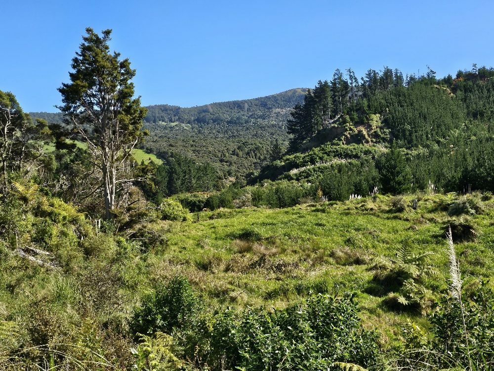 Waimamaku lifestyle with creek