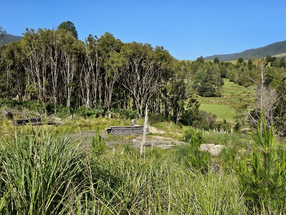 Waimamaku lifestyle with creek