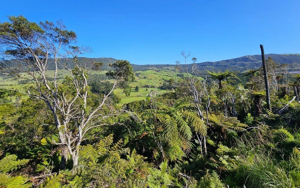 Waimamaku lifestyle with creek