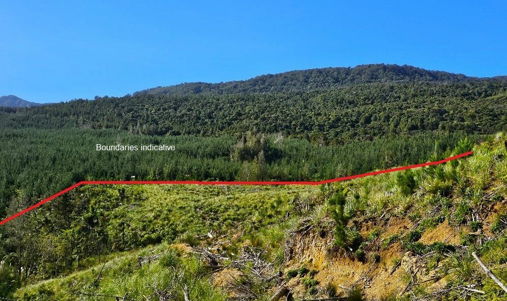 Waimamaku lifestyle with creek