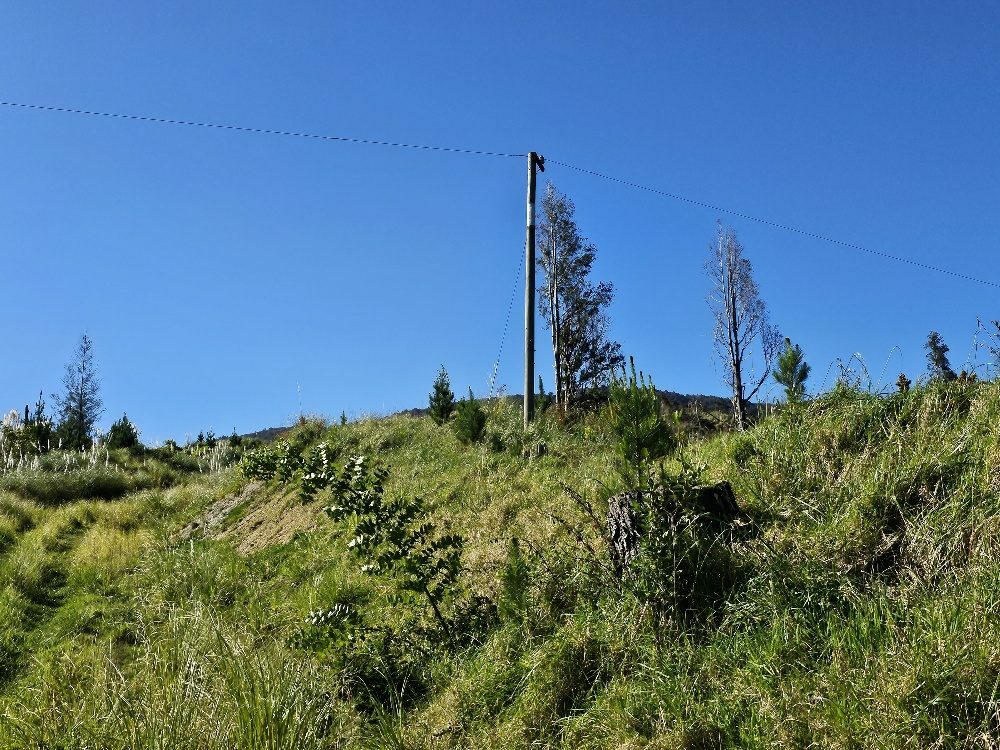 Waimamaku lifestyle with creek