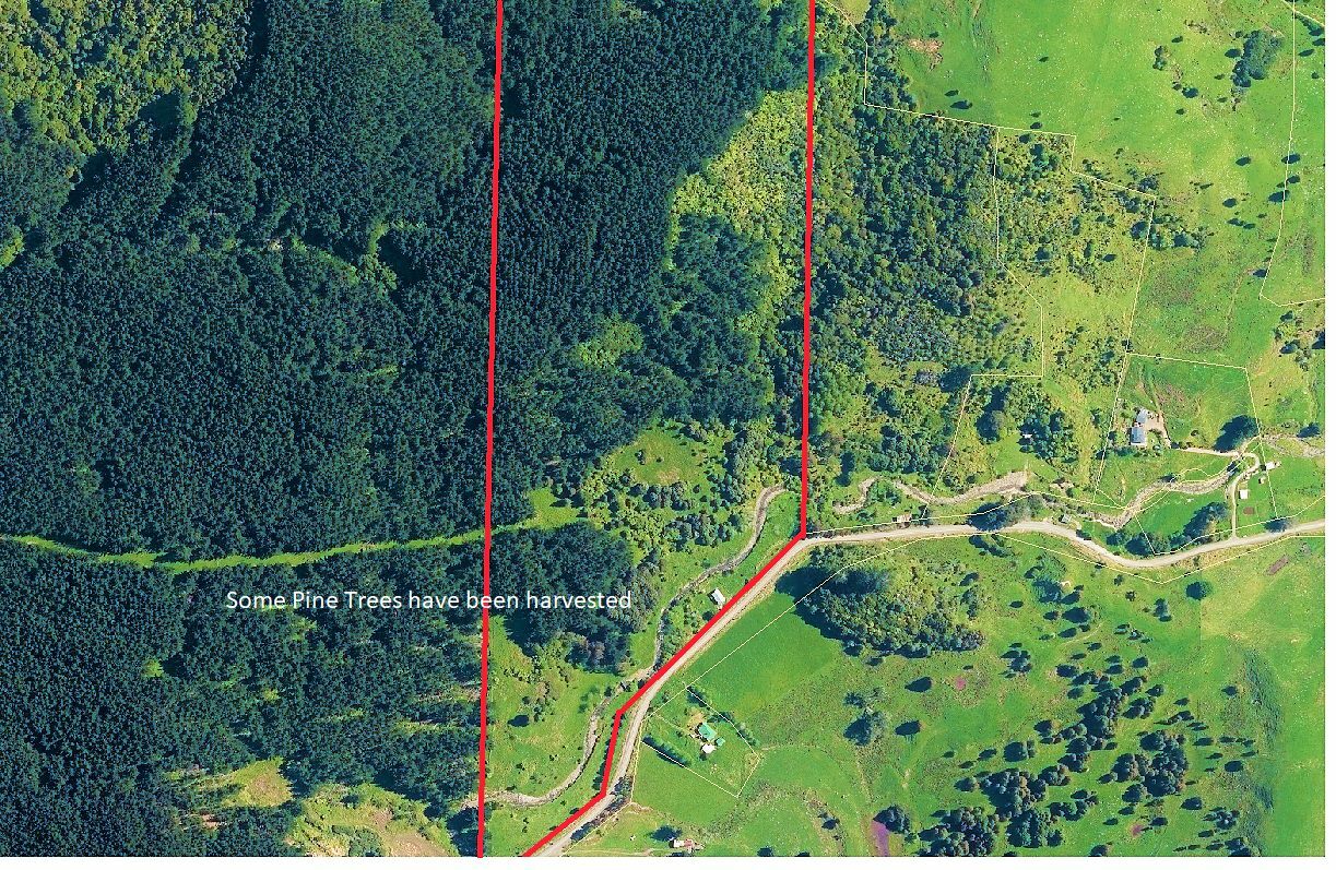 Waimamaku lifestyle with creek