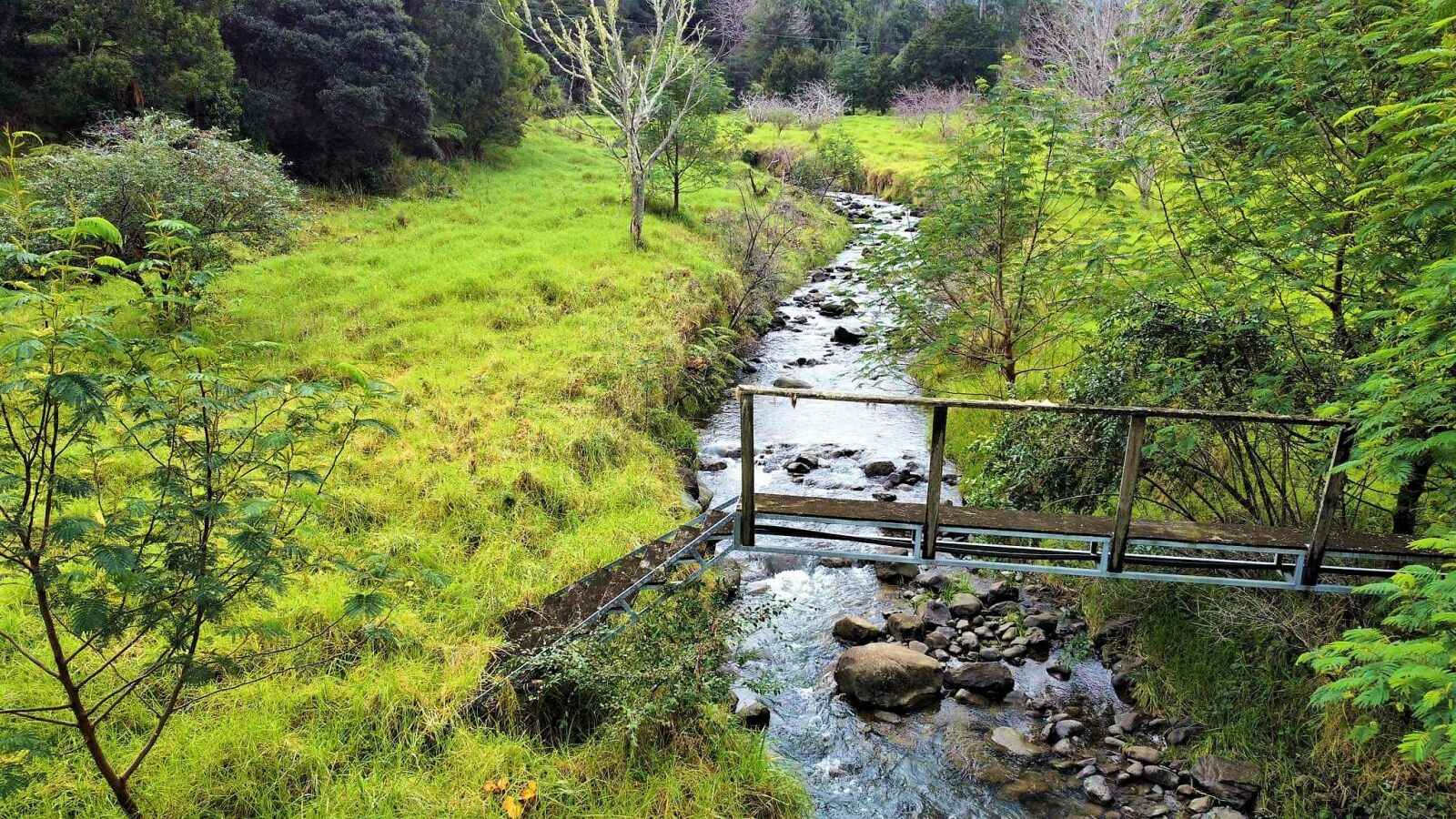 Waimamaku lifestyle with creek