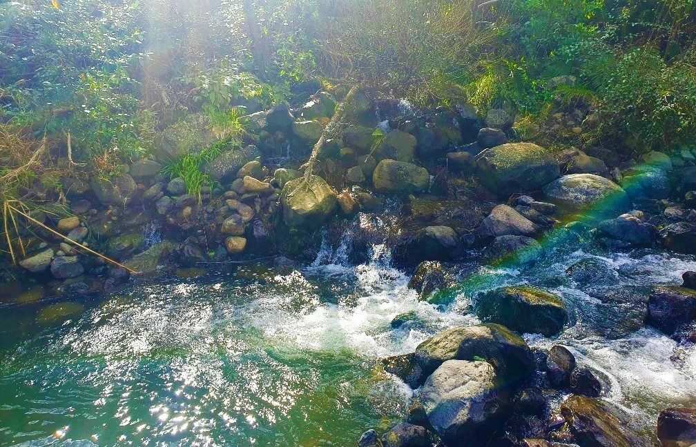 Waimamaku lifestyle with creek