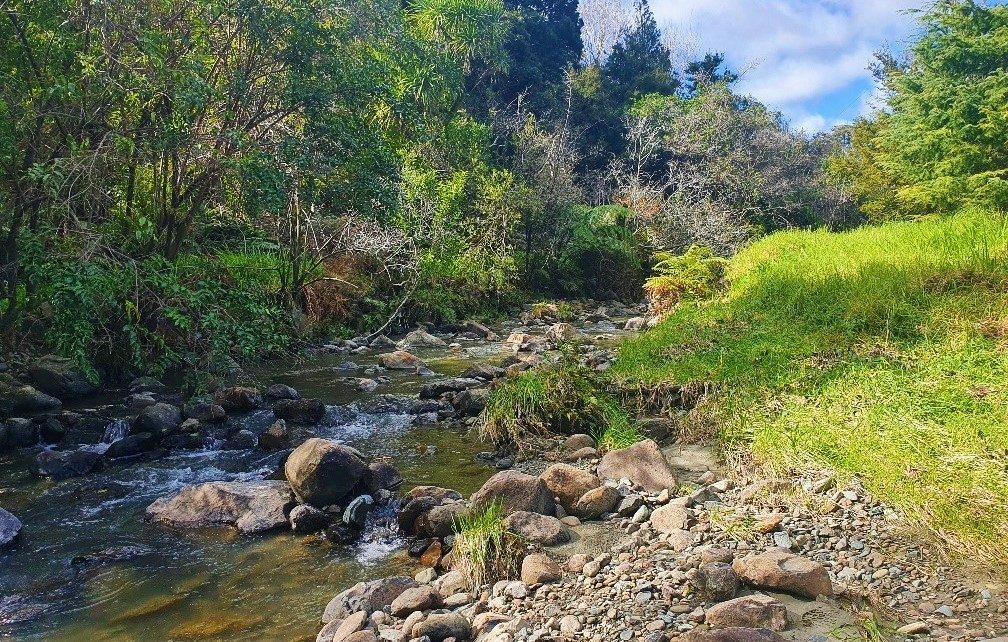 Waimamaku lifestyle with creek