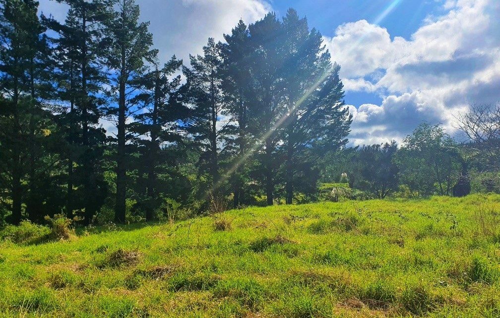 Waimamaku lifestyle with creek