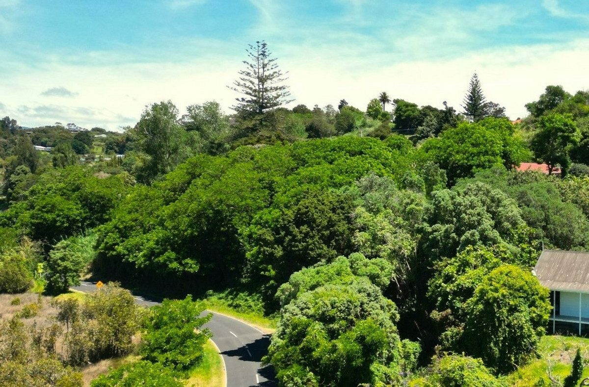 Prime Coastal Residential Section Rawene