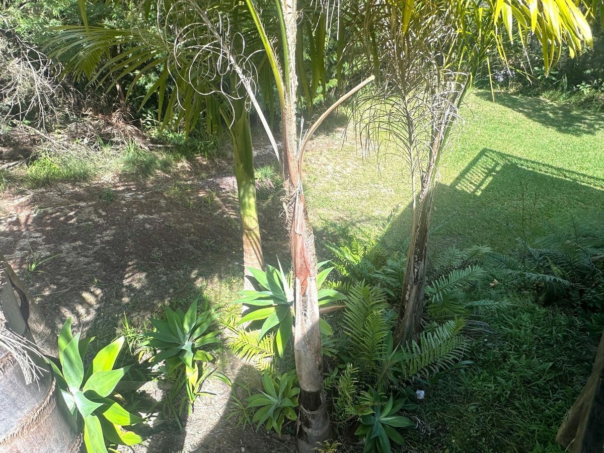 First Home Dream – Modern Comfort, Private Living