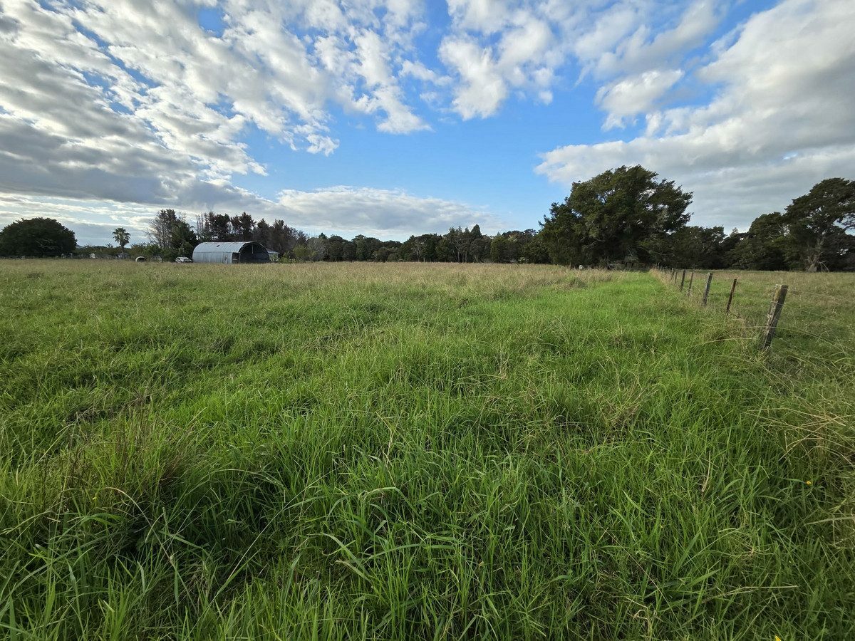 Diamond in the Rough - Big Potential on 2.5 Acres