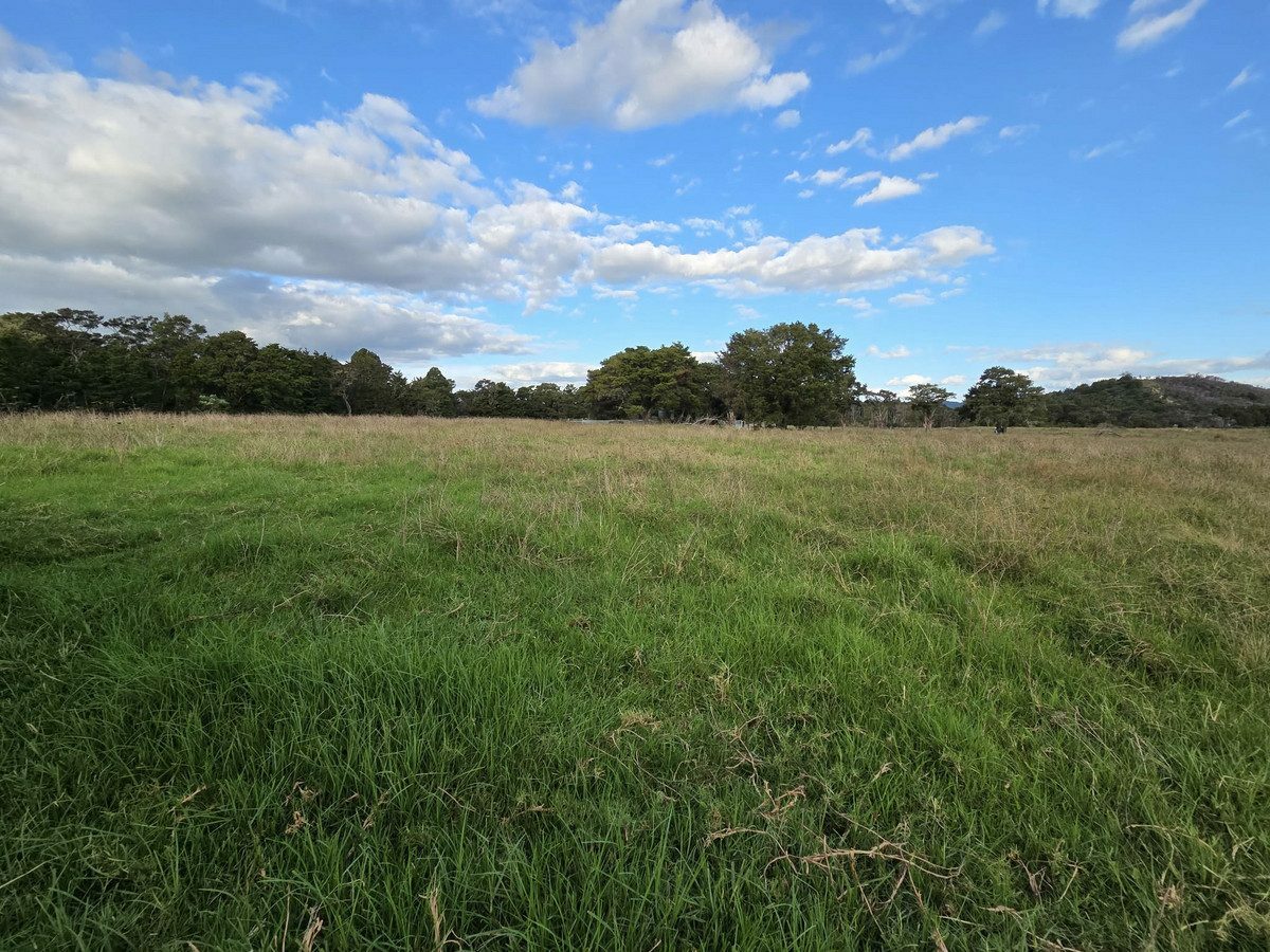 Diamond in the Rough - Big Potential on 2.5 Acres